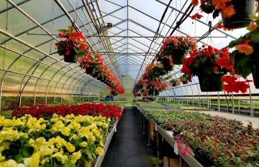 Halfinger Farms