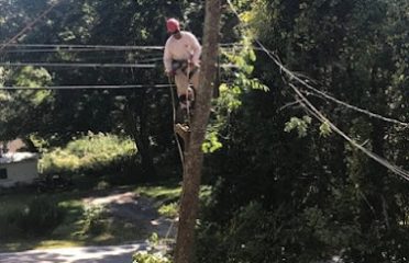 Cutting Edge Tree Service Colchester