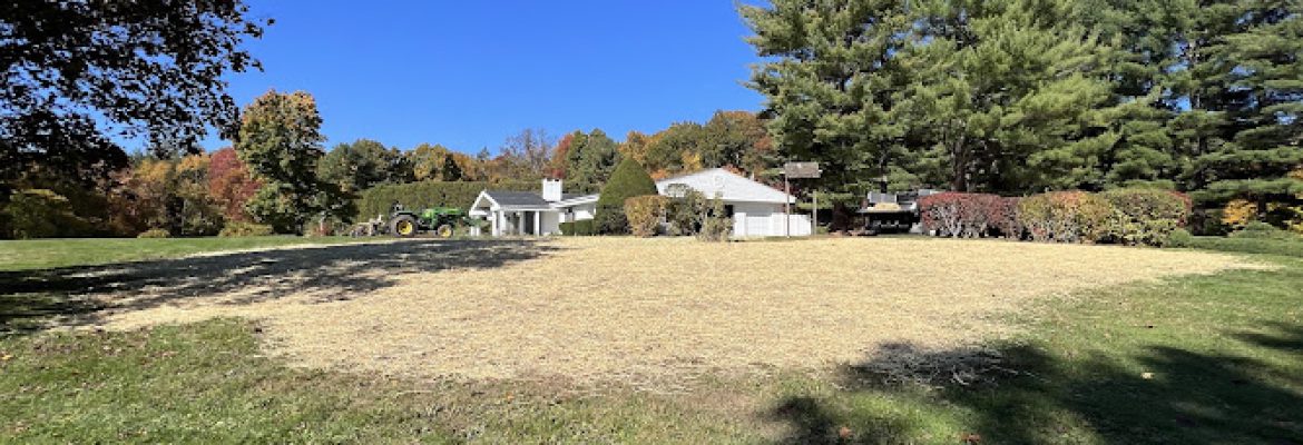 K & B Landscape & Lawn Maintenance Services