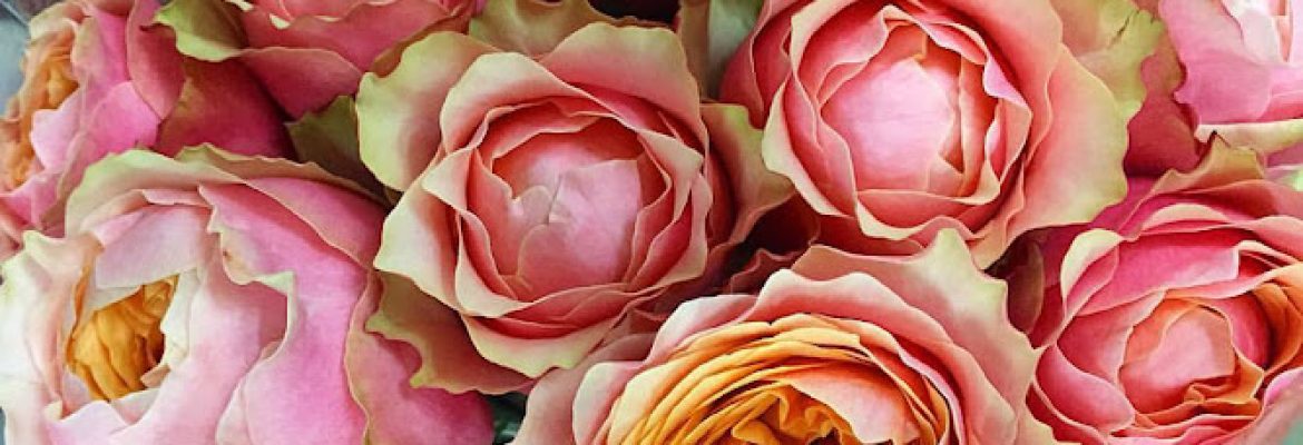DVFlora