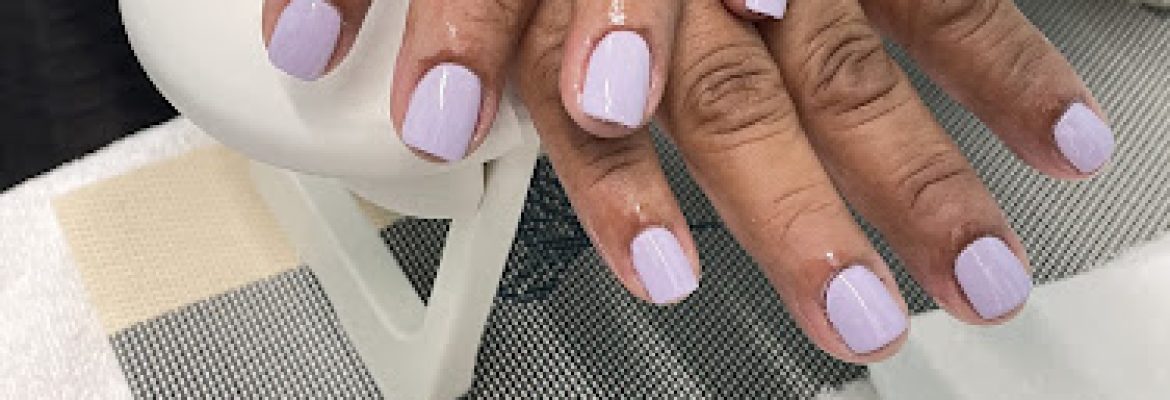 AMERICA’S BEAUTY SALON