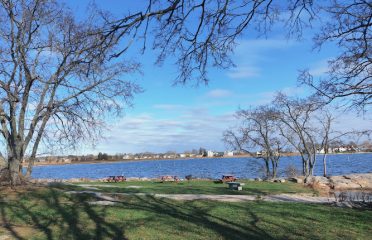 Chaffinch Island Park