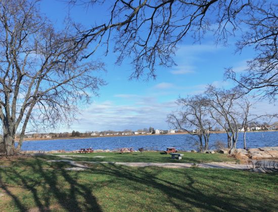 Chaffinch Island Park