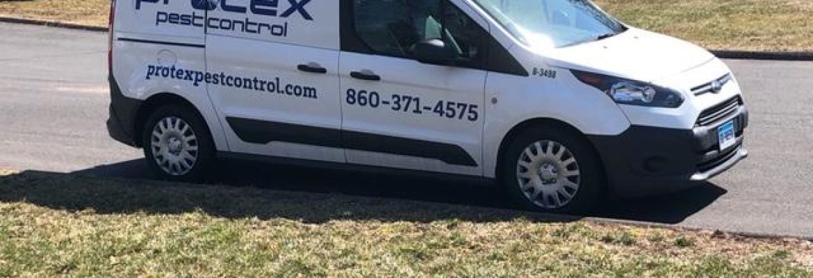 Protex Pest Control