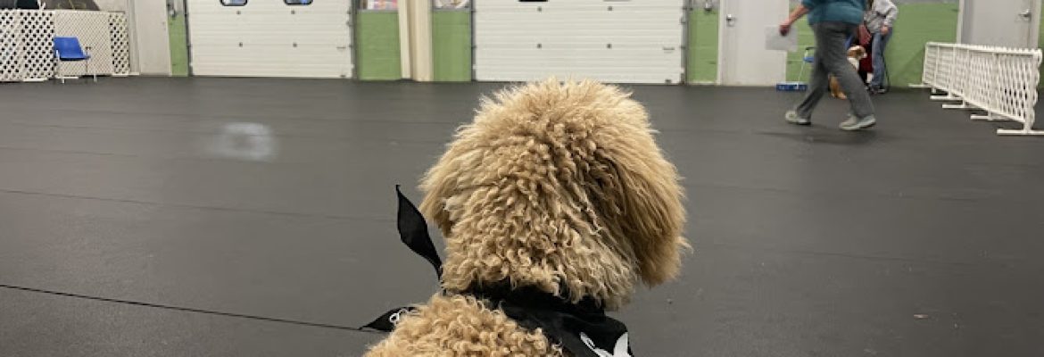 Paws ‘N Effect Canine Training Center