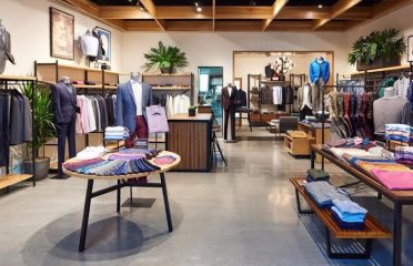 Bonobos