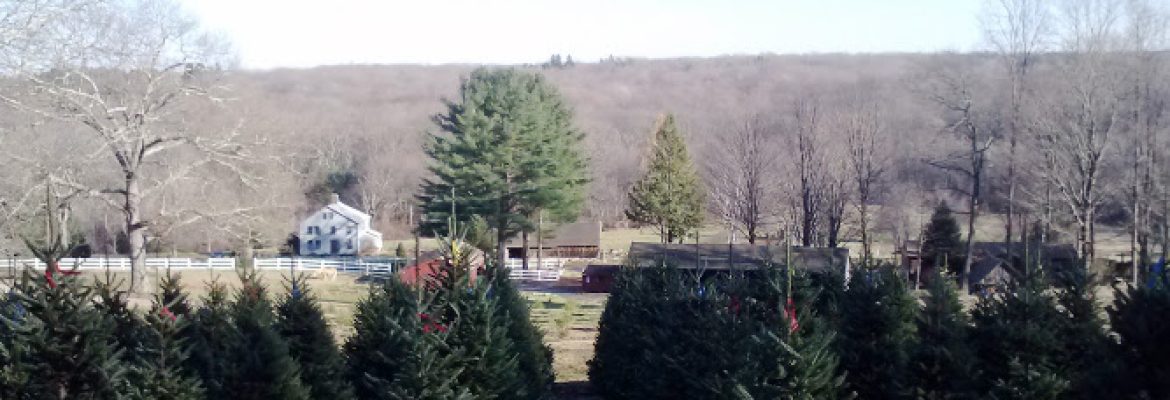 Hickory Ridge Tree Farm LLC