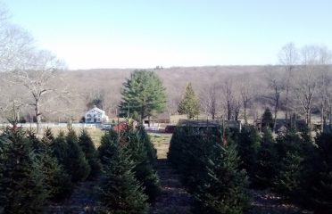 Hickory Ridge Tree Farm LLC