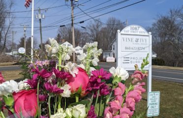 Vine & Ivy Flowers