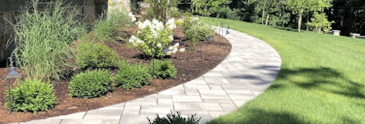 Precise Tree & Landscaping, Inc.
