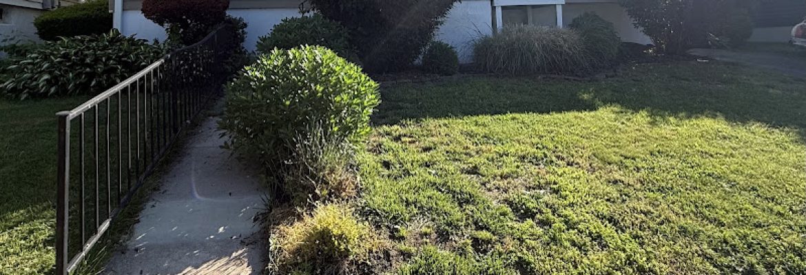 DeiesoLandscaping LLC