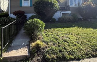DeiesoLandscaping LLC