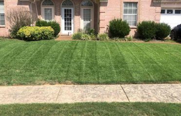 LawnStarter Lawn Care Service
