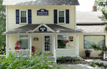Mayflower Acupuncture