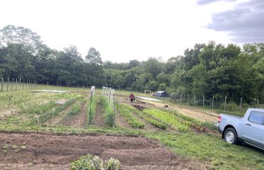 Beets & Blooms Farm