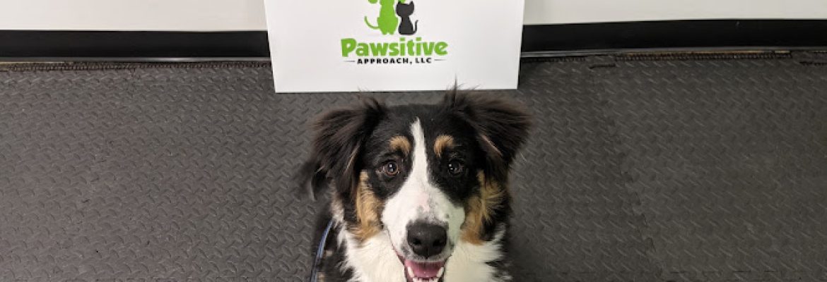 PAWsitive Approach, LLC