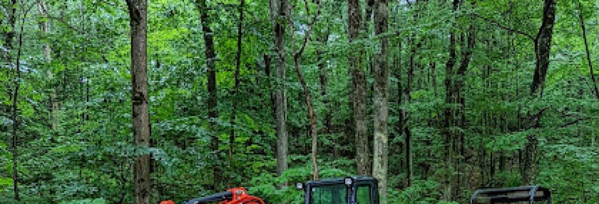 Third Hand Earthworks