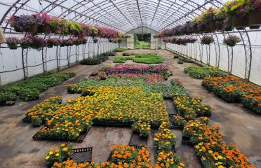 Malerba’s Farm