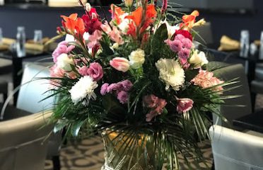 Bella Flora CT LLC