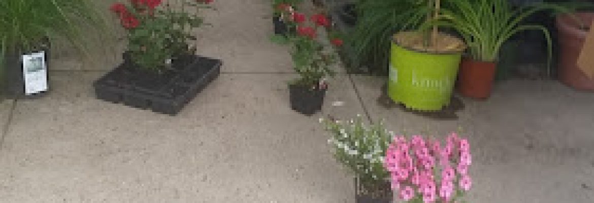 Maynard Greenhouses