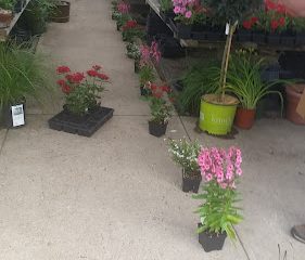 Maynard Greenhouses