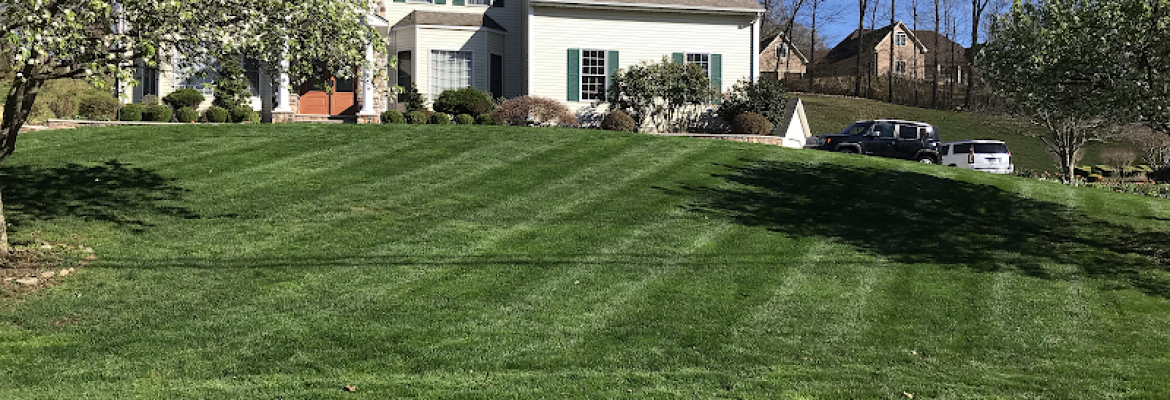 Professional Master Landscaping LLC