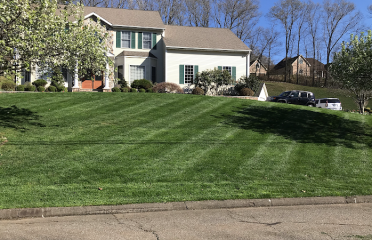 Professional Master Landscaping LLC