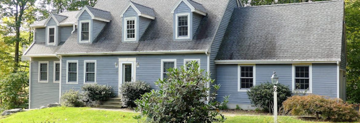 Paul Ramsey, Vision Real Estate