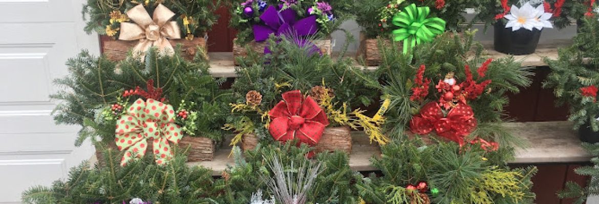 The Flower Farm