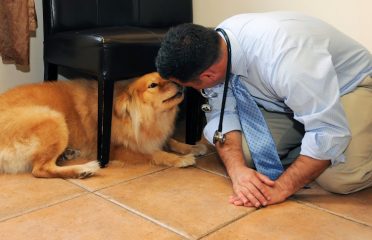 Bull’s Head Pet Hospital