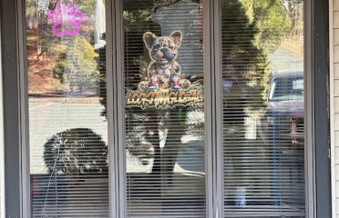 Dog Dealership Bully Market