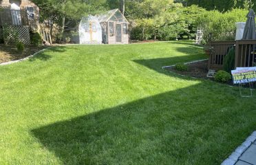 Weed Man Lawn Care