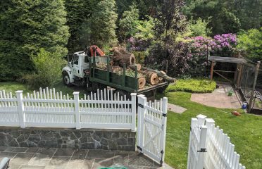 Evergreen Tree Service Wilton