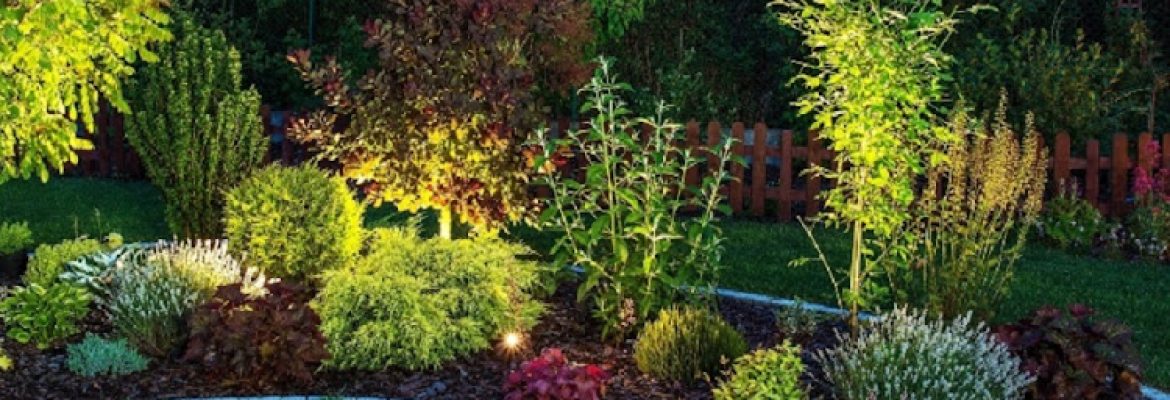 CT Landscape Lighting LLC