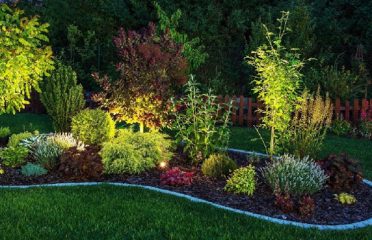 CT Landscape Lighting LLC