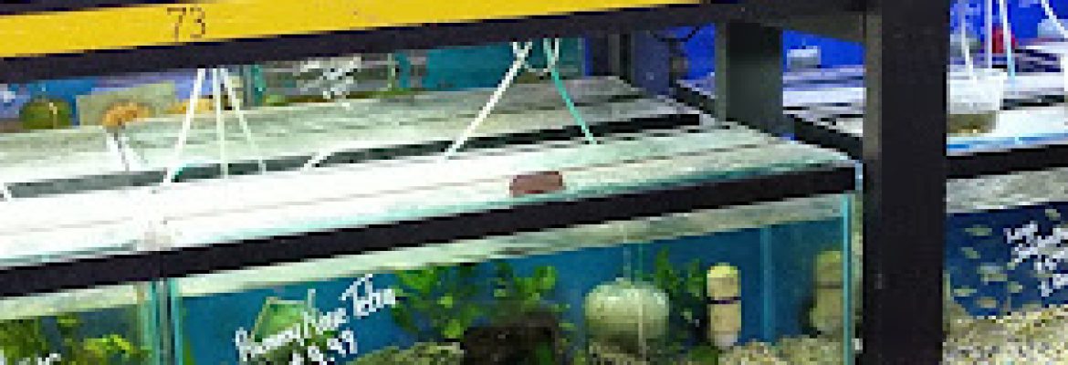 Waterbury Aquarium
