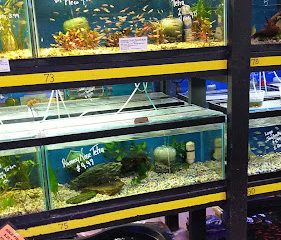 Waterbury Aquarium