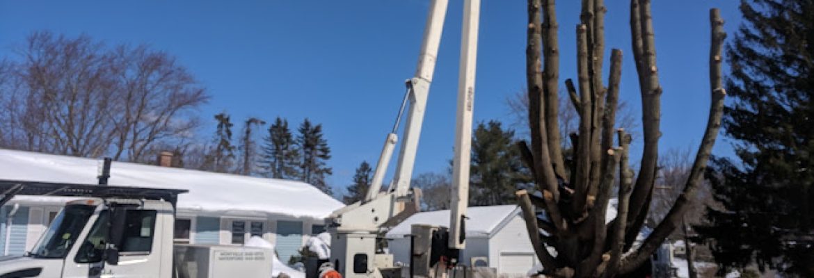 Dunn’s Tree Service LLC