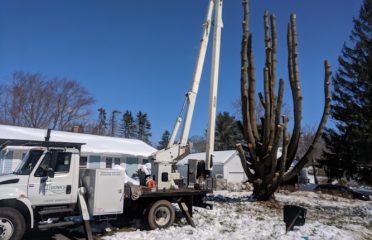 Dunn’s Tree Service LLC