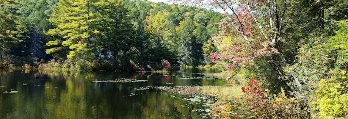 Bigelow Hollow State Park