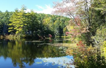 Bigelow Hollow State Park