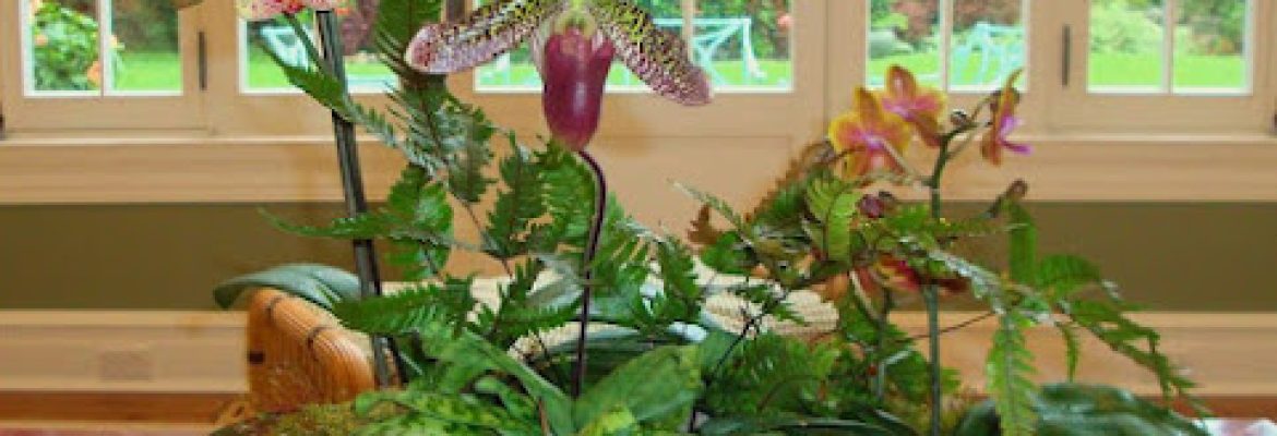 The Flower Basket of Westport