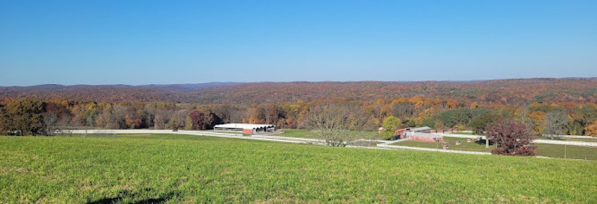 Horsebarn Hill