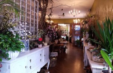 Verde Galerie Flower Shop & Café