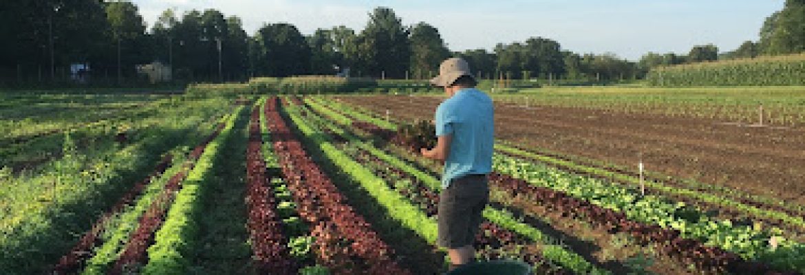 Fort Hill Farm