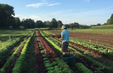 Fort Hill Farm