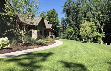 Precise Tree & Landscaping, Inc.
