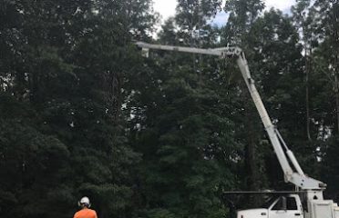All Complete Tree Service
