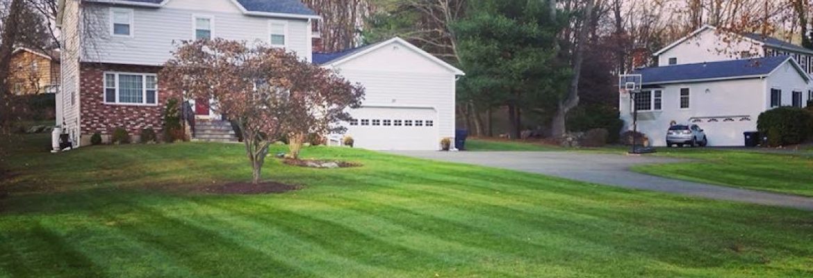 Creative Minds Landscaping LLC
