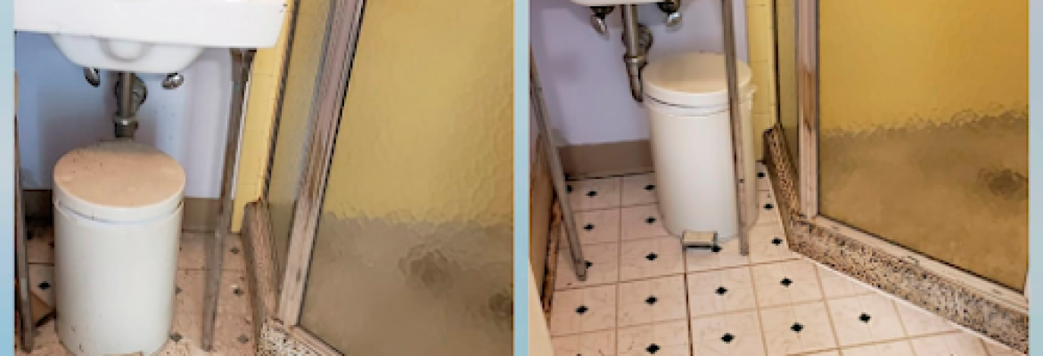 Blue Ocean Cleaning LLC